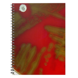 Penumonia Bacteria Spiral Notebook