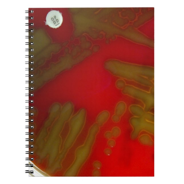 Penumonia Bacteria Spiral Notebook (Front)