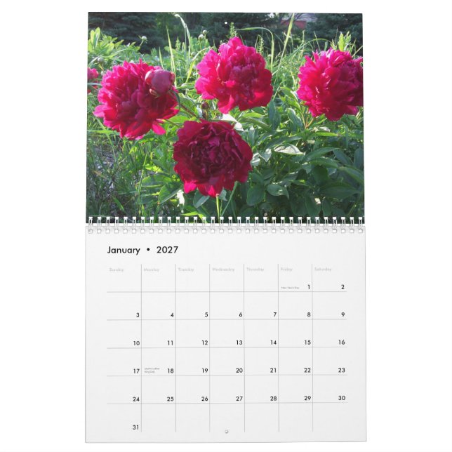 Peonies 2015 Calendar Flowers (Jan 2027)