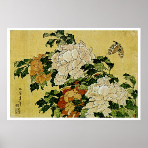 Peonies and Butterfly Poster