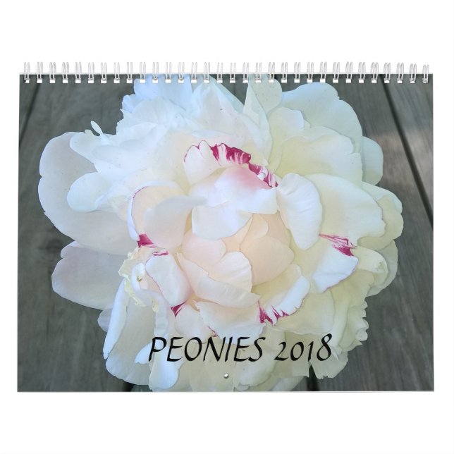 Peonies Calendar 2018 (Cover)