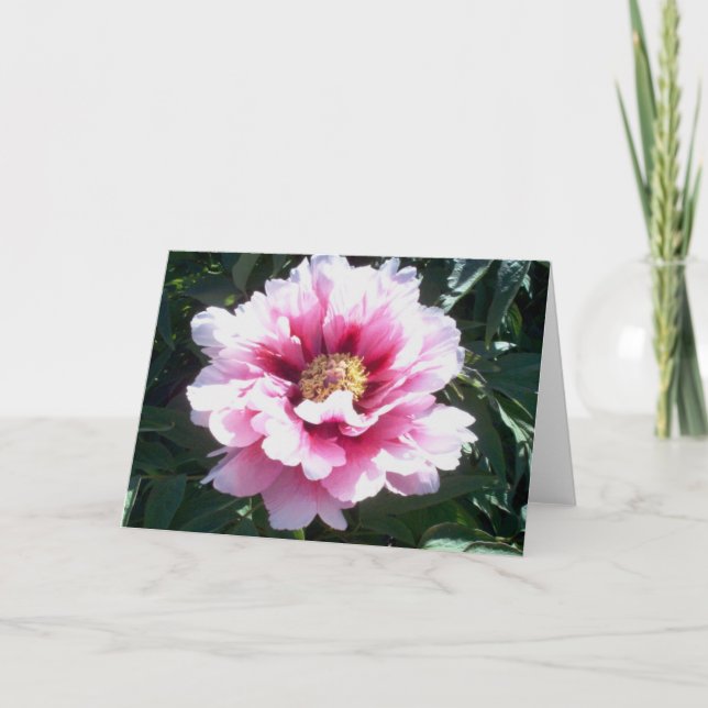 Peonies Card (Front)
