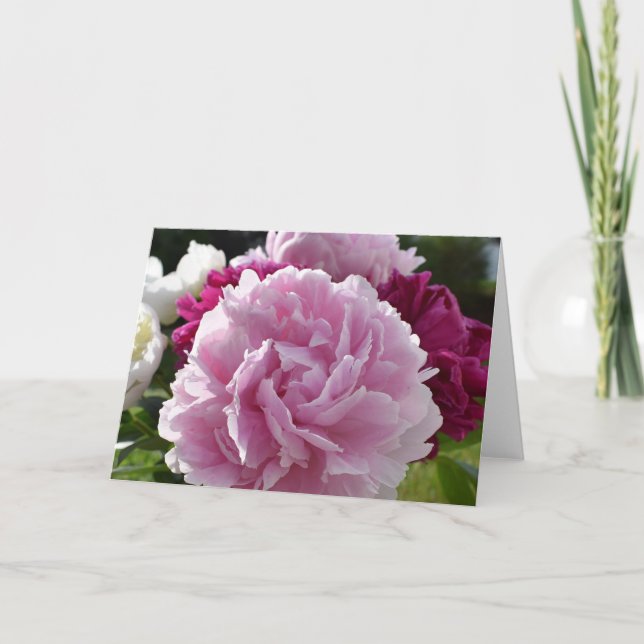 Peonies Card (Front)