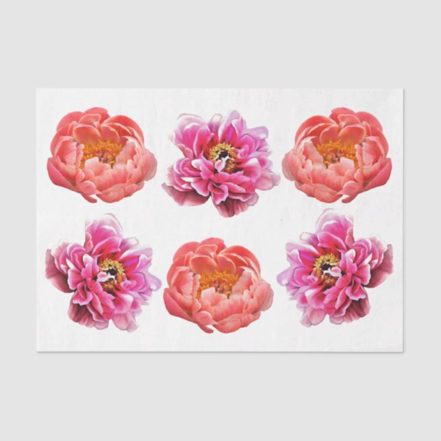 Peonies - Coral & Pink - Decoupage Tissue Paper (Front)