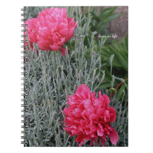 Peonies & Lavender Notebook