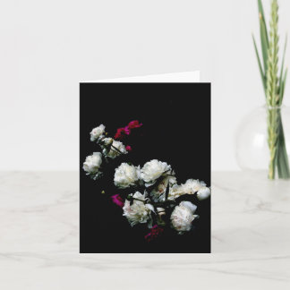 Peonies notecard