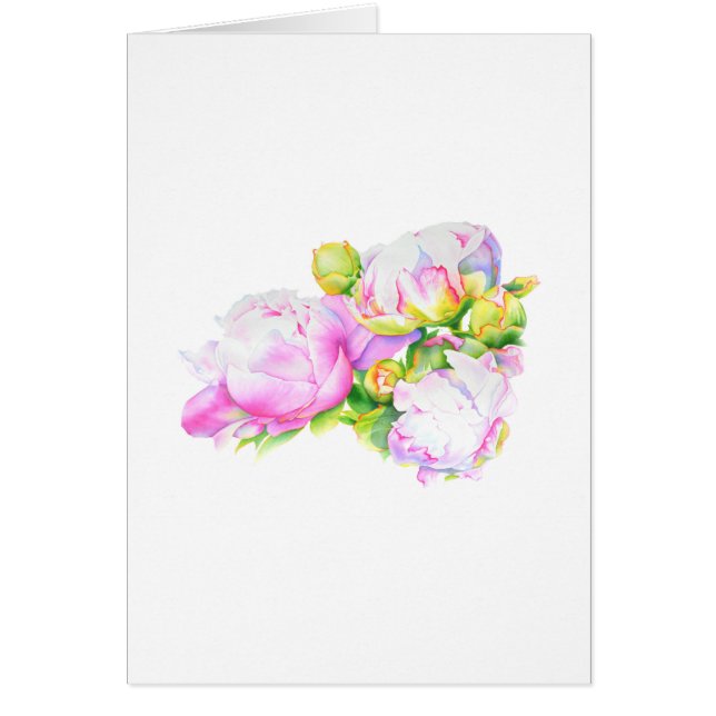 Peonies, pink, white, watercolor floral painting (Front)