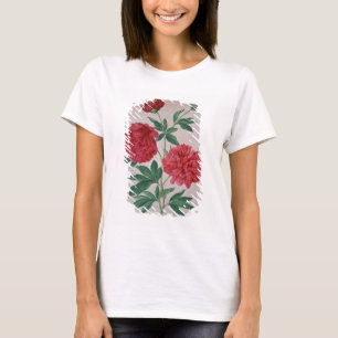 Peonies, plate 46 from the Nassau Florilegium (w/c T-Shirt