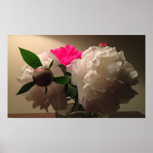 Peonies, Poster