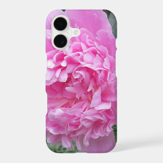 Peony