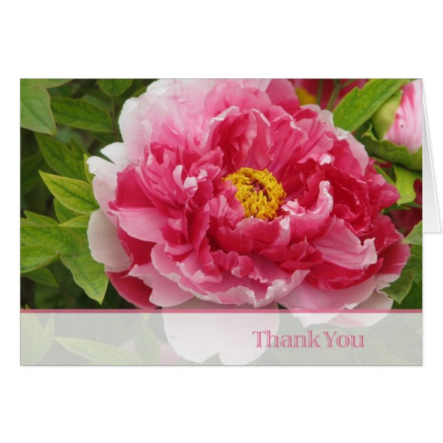 peony (Front Horizontal)