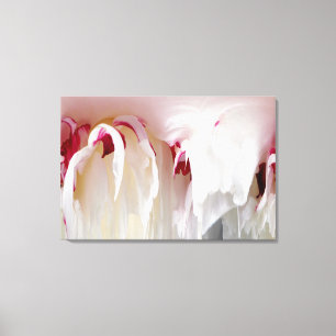 Peony Abstract Canvas Print