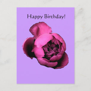 Peony Birthday Card