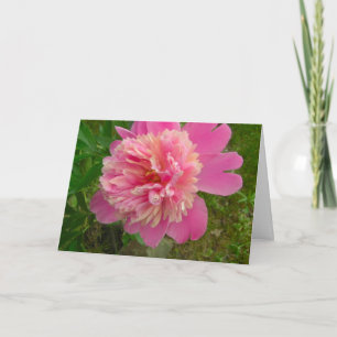 Peony Birthday Card