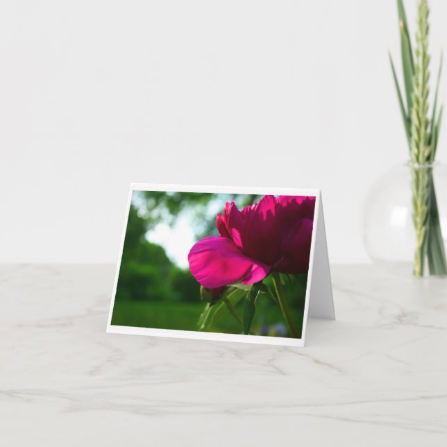 Peony Blank Notecard (Front)