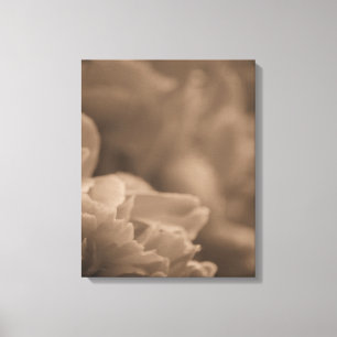 Peony Bloom Close-up in Sepia Canvas Print