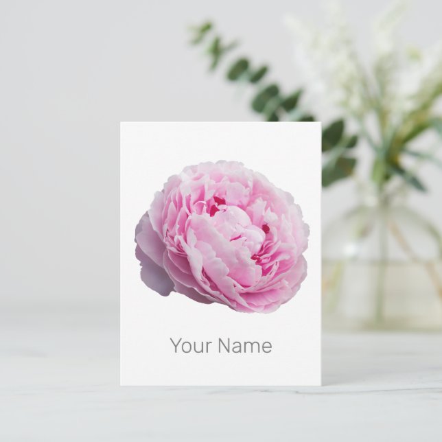 Peony Blossom Rose For Flower And Garden Lover Holiday Postcard (Standing Front)