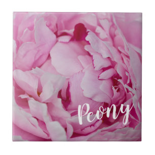 Peony Blossom Rose for flower and garden lovers Tile