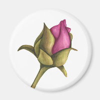 peony bud