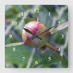 peony bud square wall clock