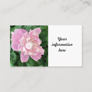 Peony Business Card