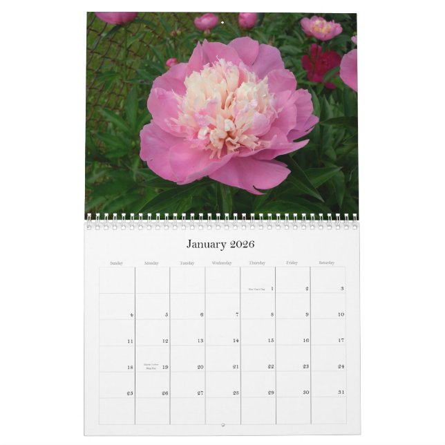 Peony Calendar Aug 2007 - July 2008 (Jan 2026)