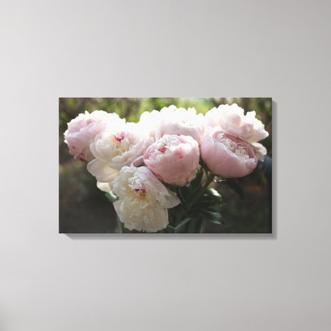 Peony Canvas Art (Front)