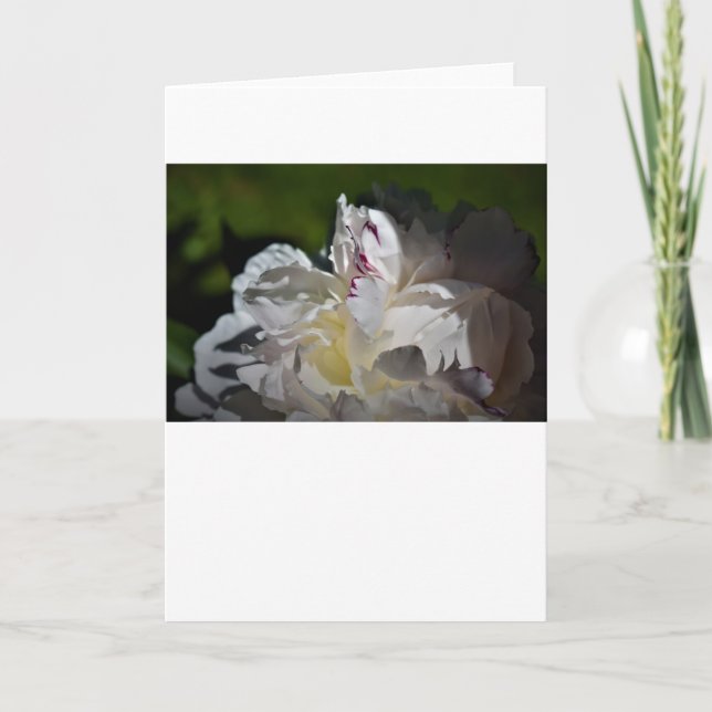 Peony, card (Front)