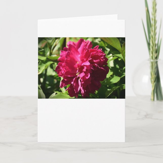 Peony, card (Front)