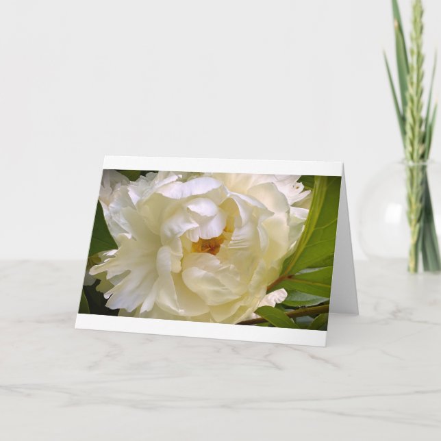 Peony, card (Front)