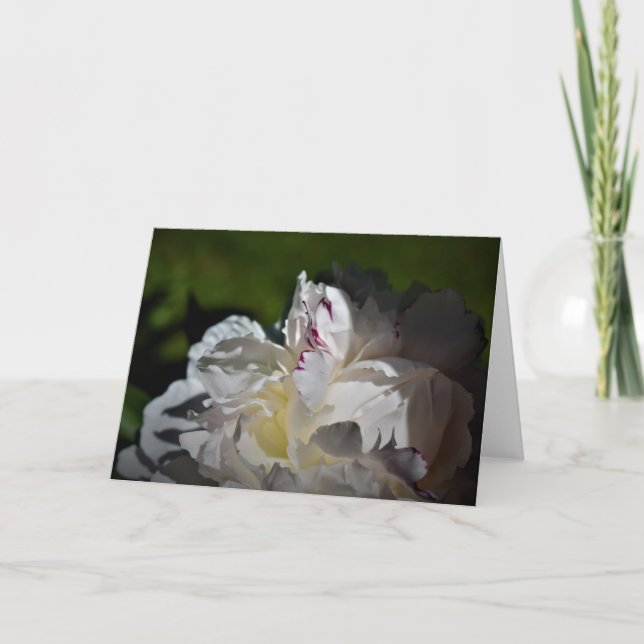 Peony, card (Front)