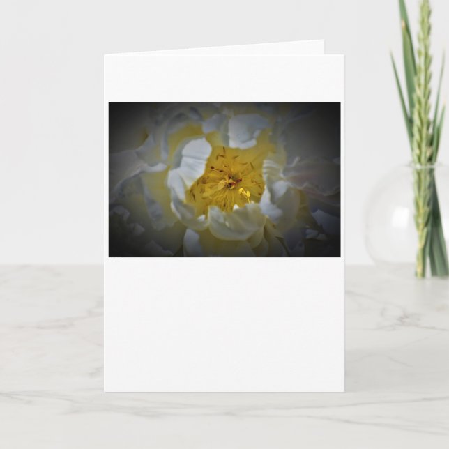 Peony, card (Front)