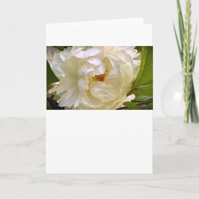 Peony, card (Front)