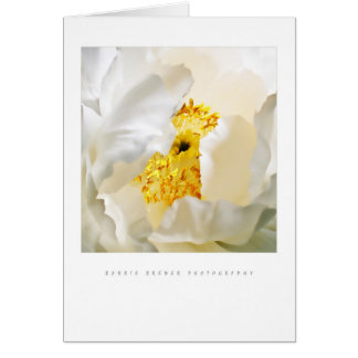 Peony Card