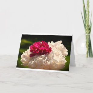 Peony, card