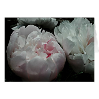 Peony Card