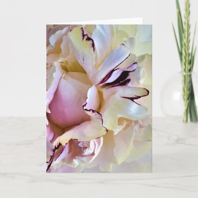Peony, card (Front)