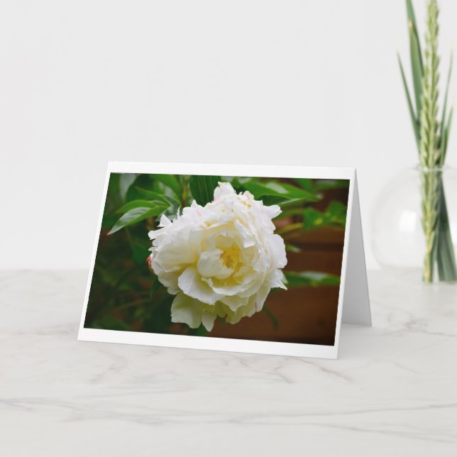 Peony, card (Front)