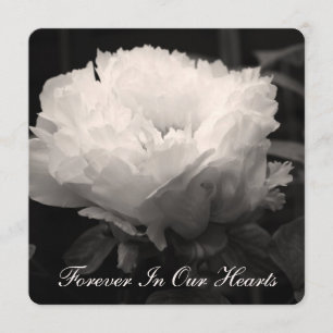 Peony Floral Photography 2 Funeral Announcement