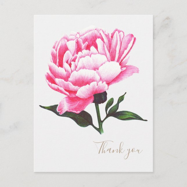 Peony Flower Illustration Pen Drawing Postcard (Front)
