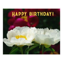 Peony/Flower Magic/White Flower/Happy Birthday/
