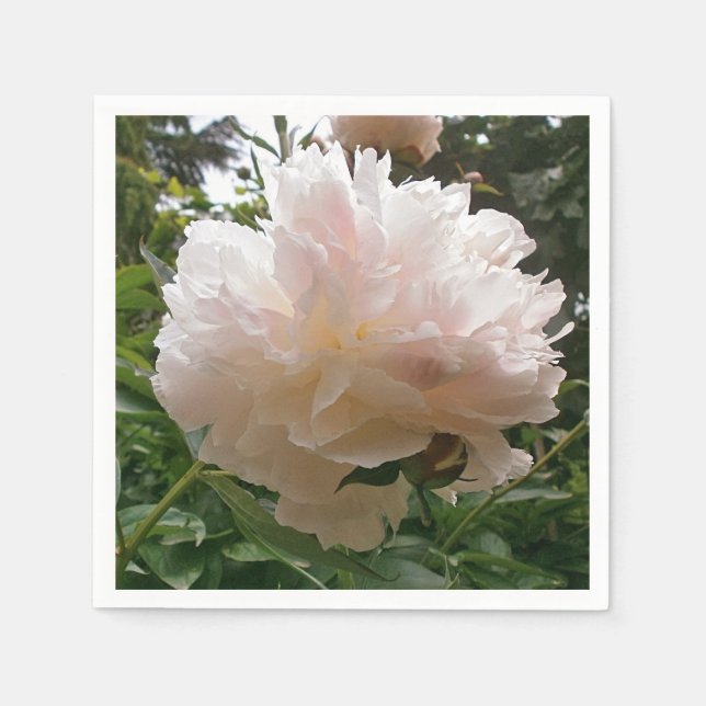 Peony. Flower. Napkin (Front)
