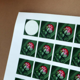 Peony Flower Peonies Gardener art Pink             Classic Round Sticker