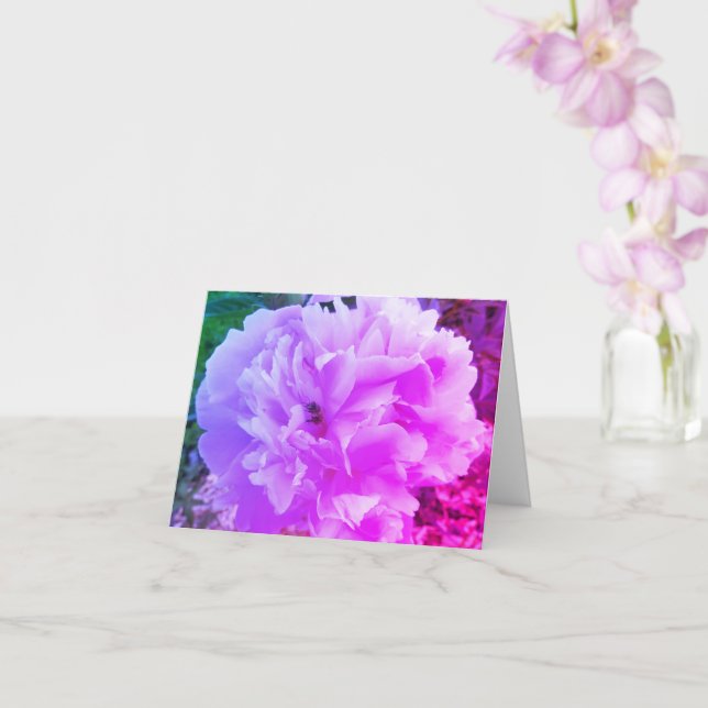 Peony Flower with a Honey Bee Card (Orchid)