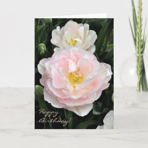 Peony flowered tulip birthday card