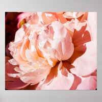 Peony flowers as luxury floral background, wedding