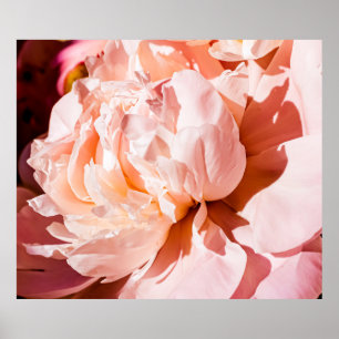 Peony flowers as luxury floral background, wedding poster