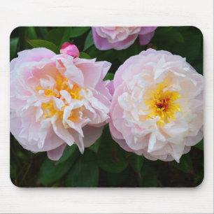 Peony flowers mouse pad