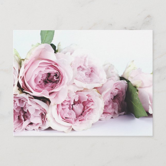 PEONY FLOWERS POSTCARD (Front)