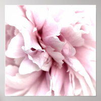 Peony in Macro with Digital Art Pink